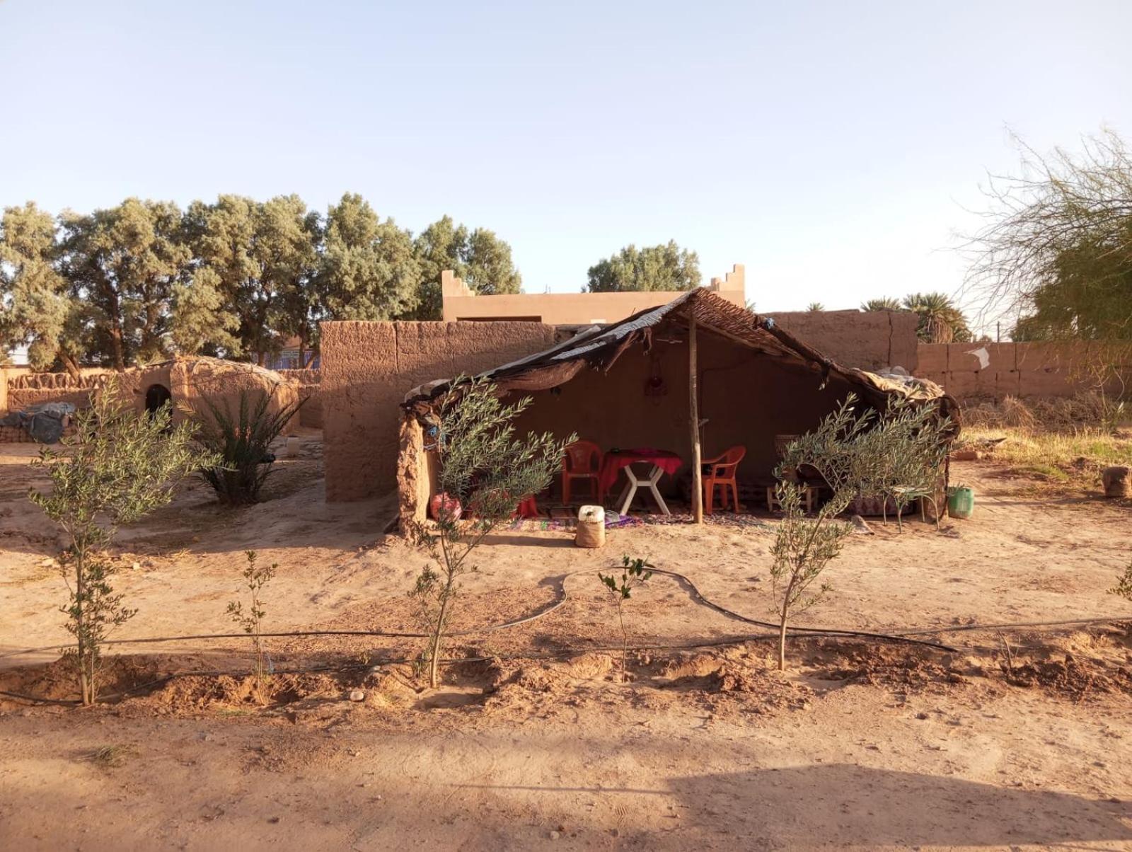 La Maison-Berbere Mhamid Buitenkant foto