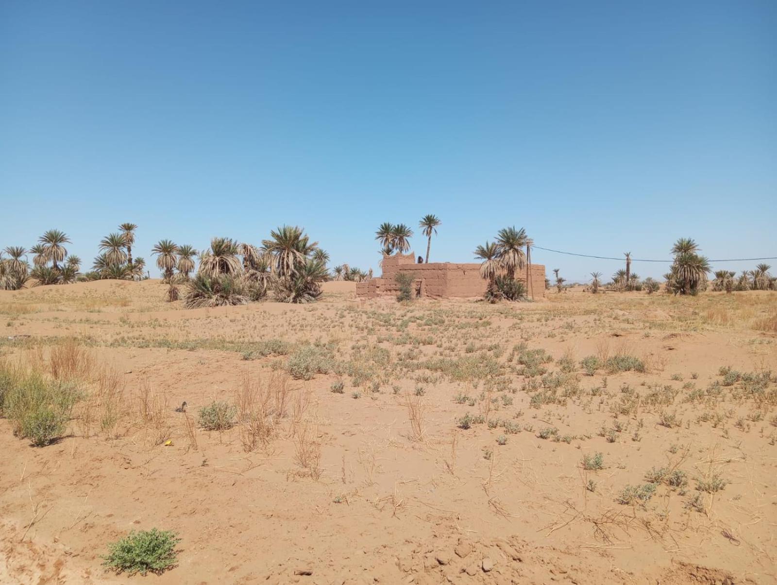 La Maison-Berbere Mhamid Buitenkant foto